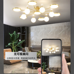 全铜客厅灯北欧灯具现代简约轻奢餐厅卧室大气吊灯 青铜 10头 LED